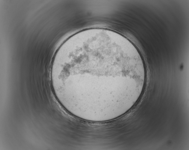 X0000115591436200912081039