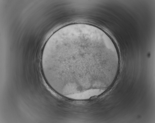 X0000115591437200912081039