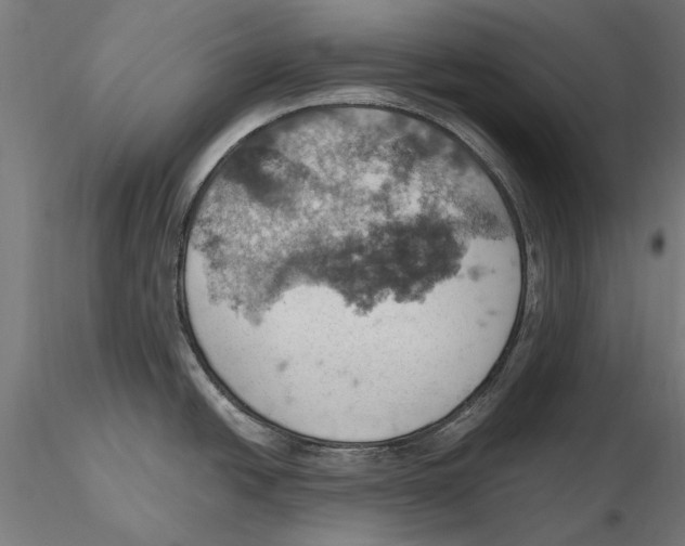 X0000115591438200912081039