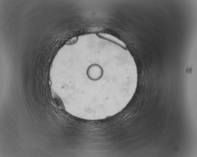 X0000115591441200912081038