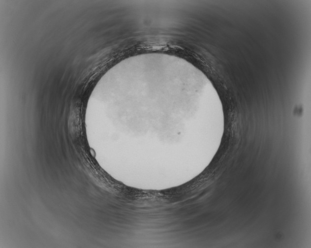 X0000115591442200912081038