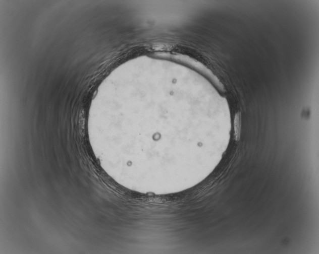 X0000115591443200912081038