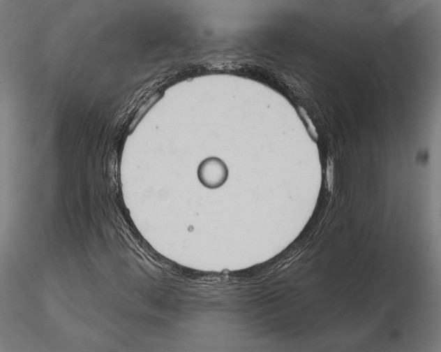 X0000115591444200912081038