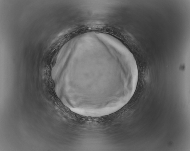X0000115591445200912081038