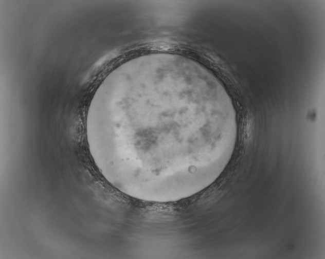 X0000115591446200912081038