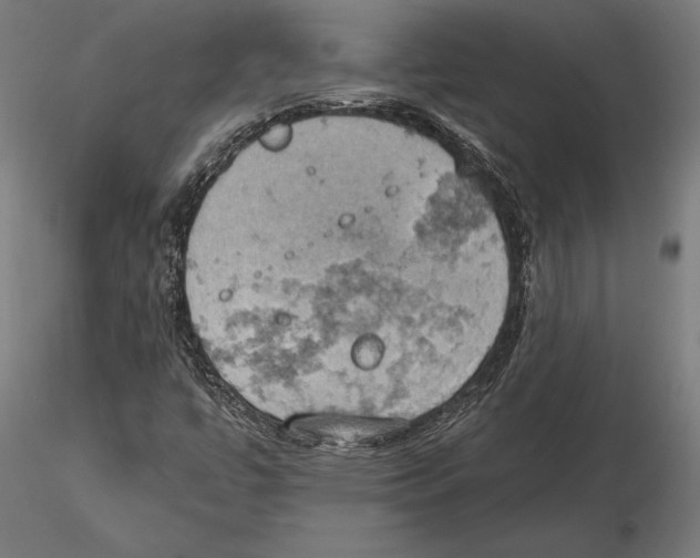 X0000115591447200912081038