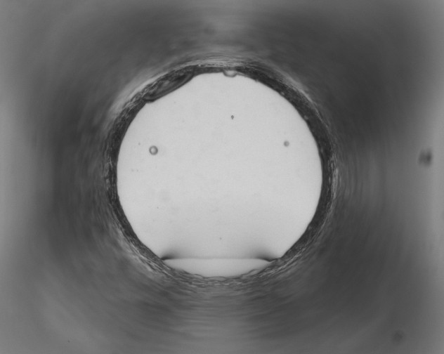 X0000115591448200912081038