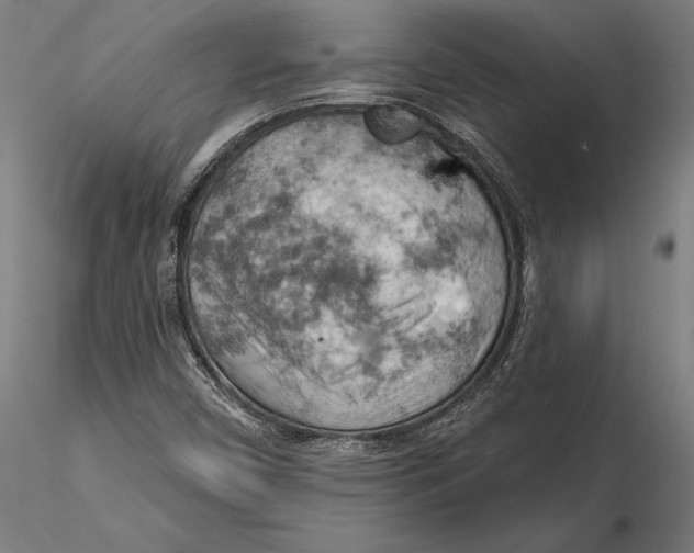 X0000115591450200912081038