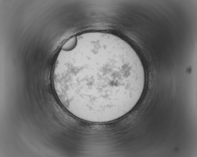 X0000115591451200912081038