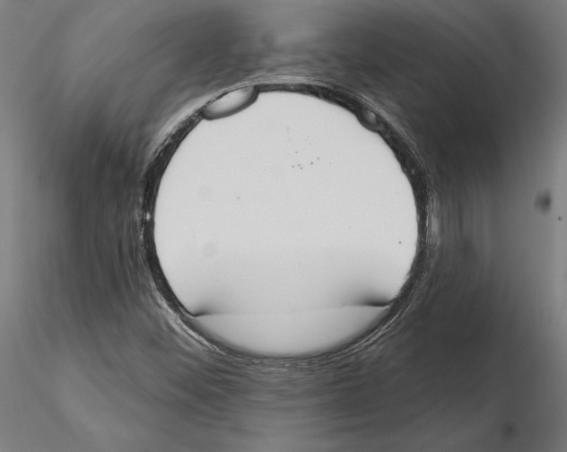 X0000115591452200912081038