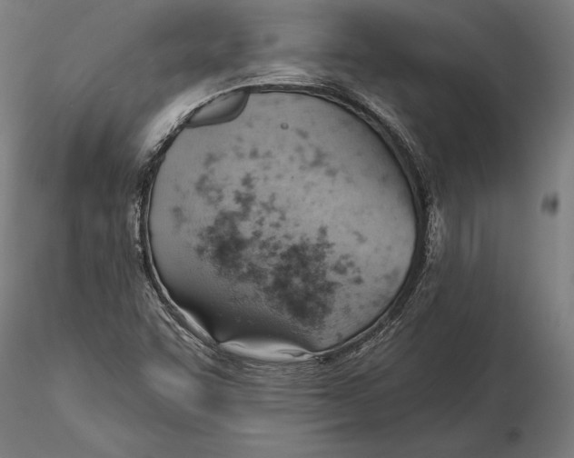 X0000115591455200912081038