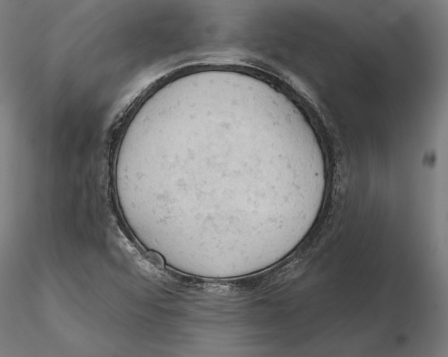 X0000115591456200912081038