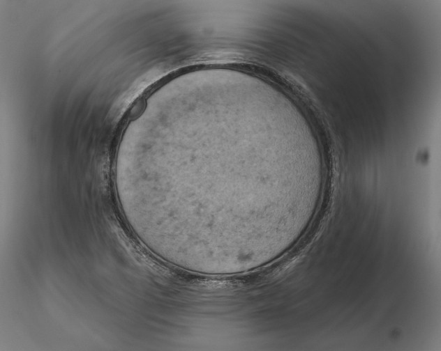 X0000115591457200912081038