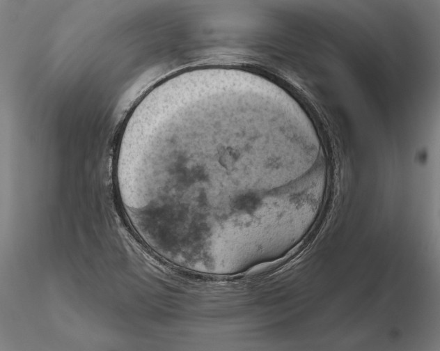 X0000115591459200912081038