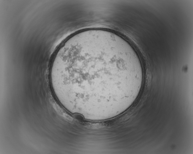 X0000115591460200912081038