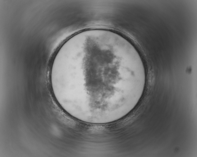 X0000115591462200912081038