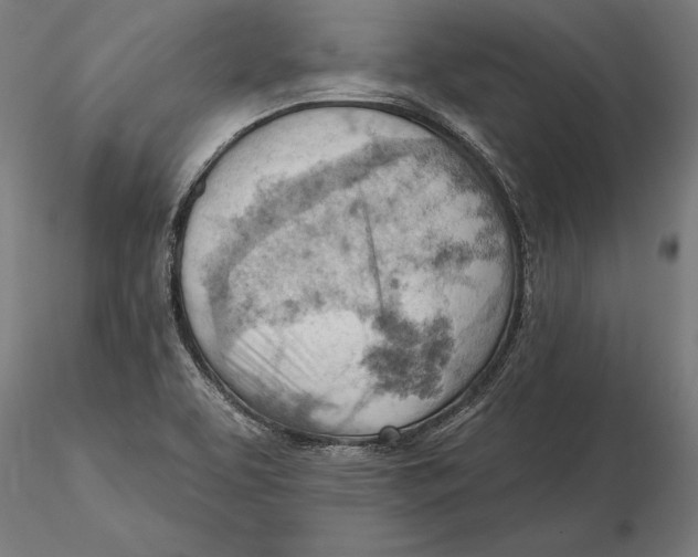 X0000115591463200912081038