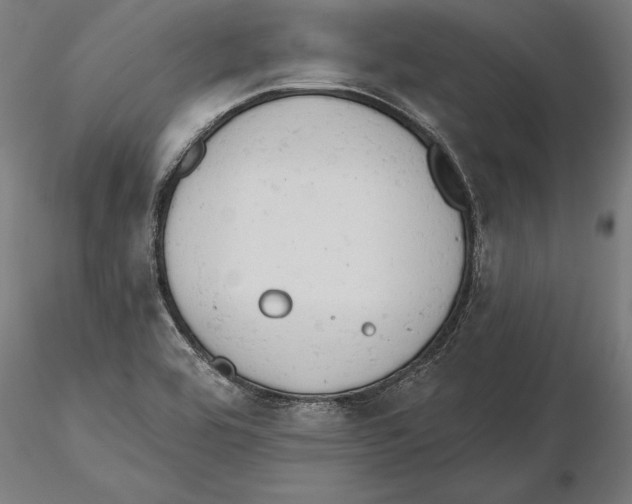 X0000115591464200912081038