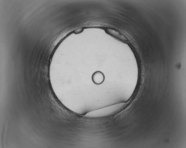X0000115591465200912081038