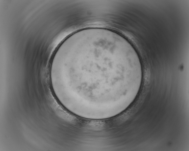 X0000115591466200912081038