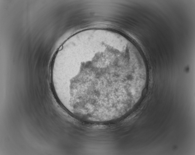 X0000115591467200912081038