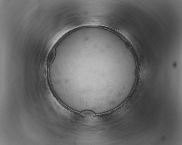 X0000115591468200912081038