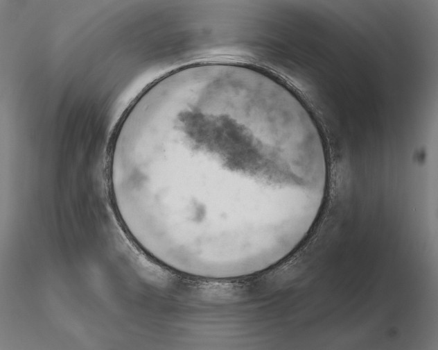 X0000115591470200912081038