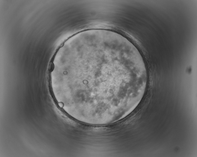 X0000115591471200912081037