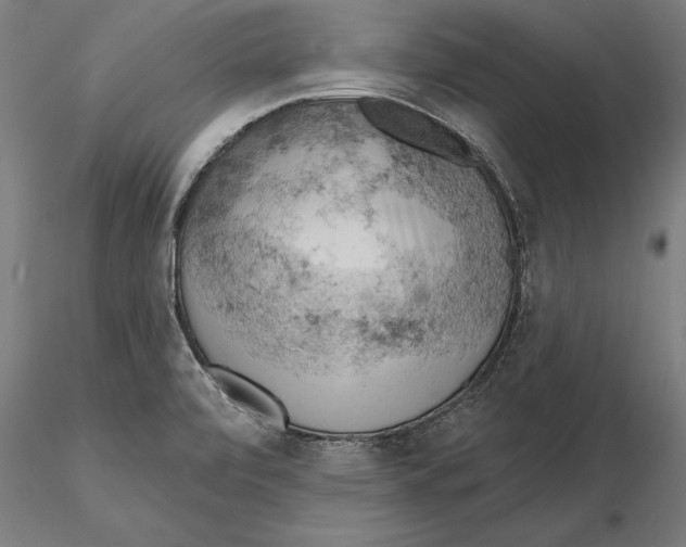 X0000115591472200912081037