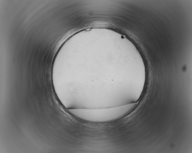 X0000115591473200912081037