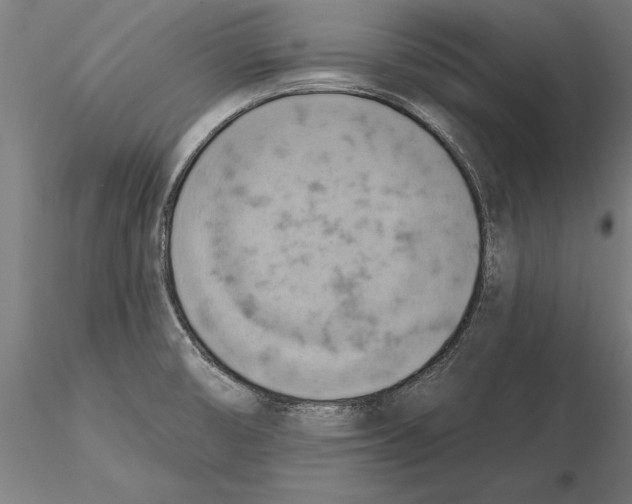 X0000115591474200912081037