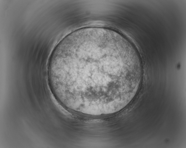 X0000115591475200912081037