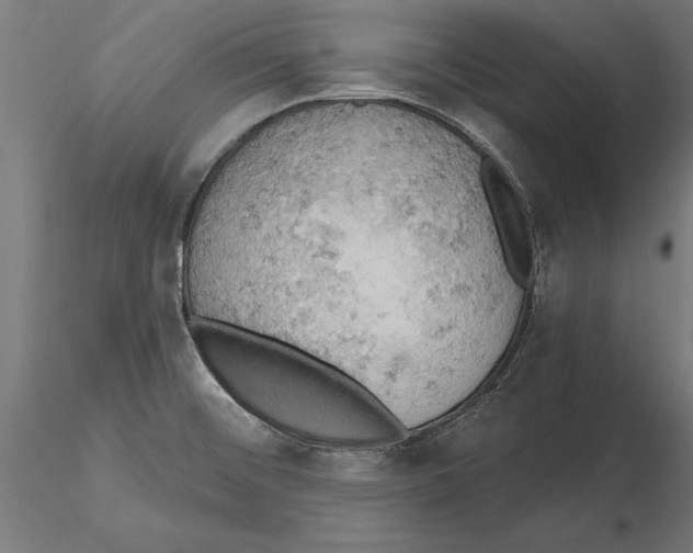 X0000115591476200912081037