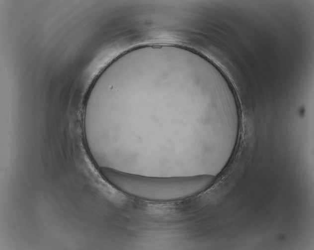 X0000115591477200912081037