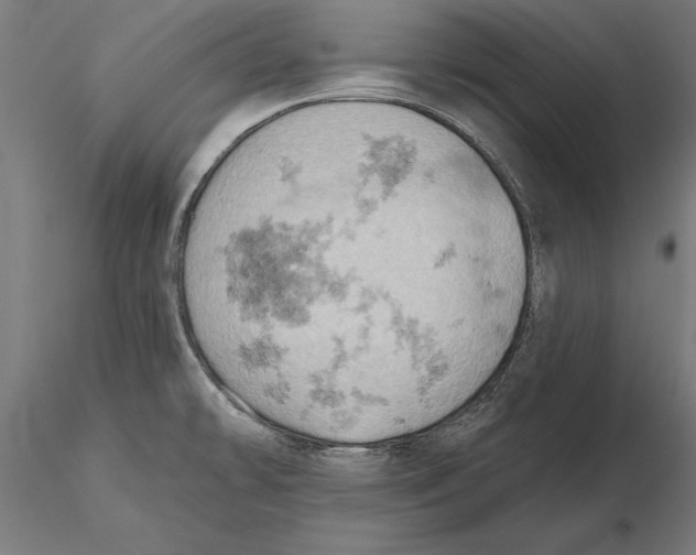 X0000115591478200912081037