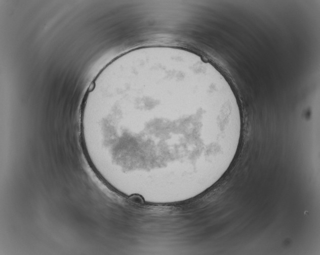 X0000115591479200912081037