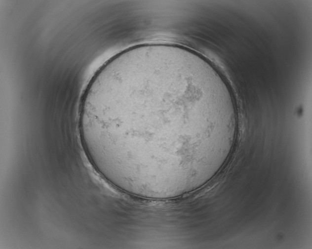 X0000115591480200912081037