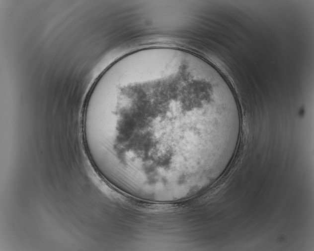 X0000115591482200912081037