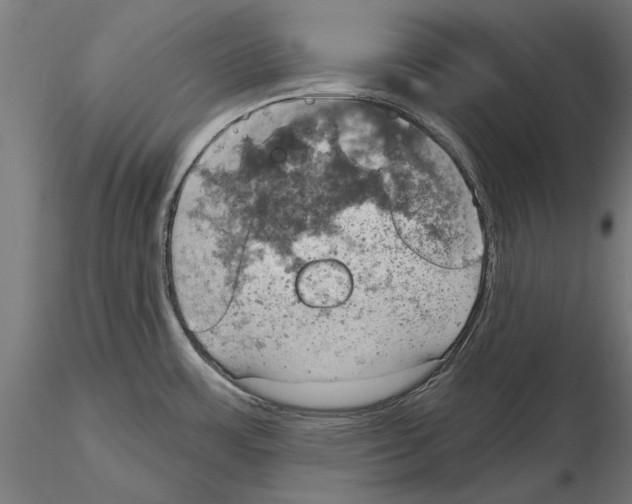 X0000115591483200912081037