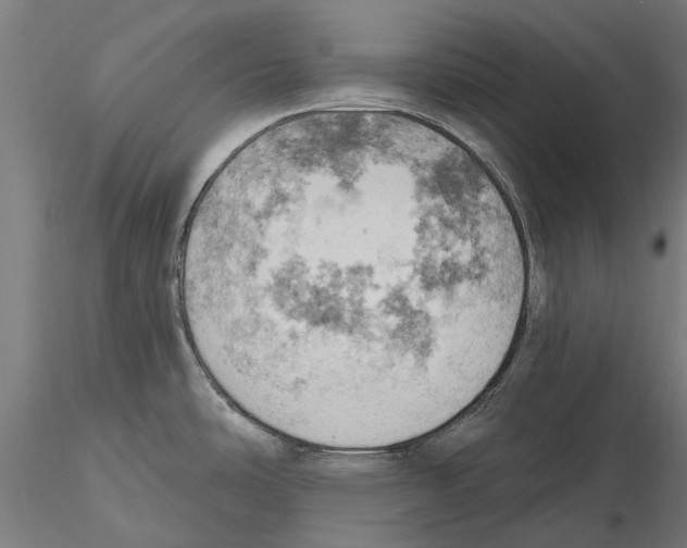 X0000115591486200912081037