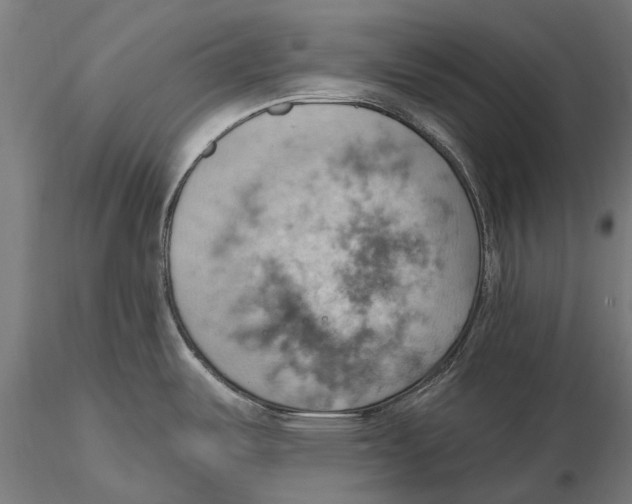 X0000115591487200912081037