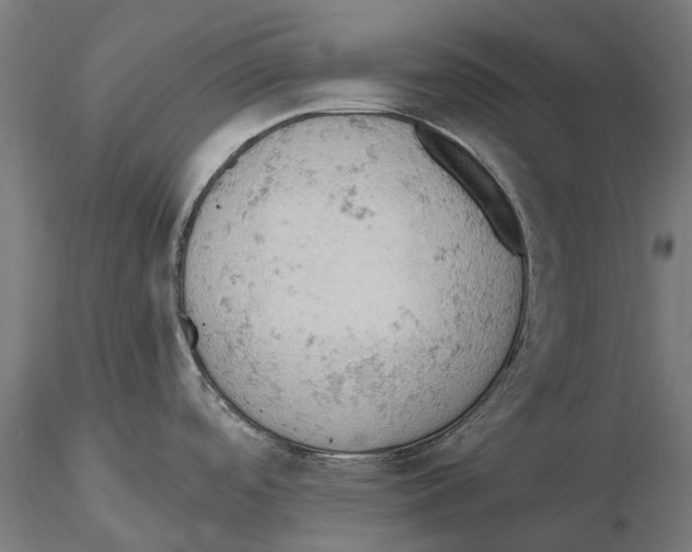 X0000115591488200912081037
