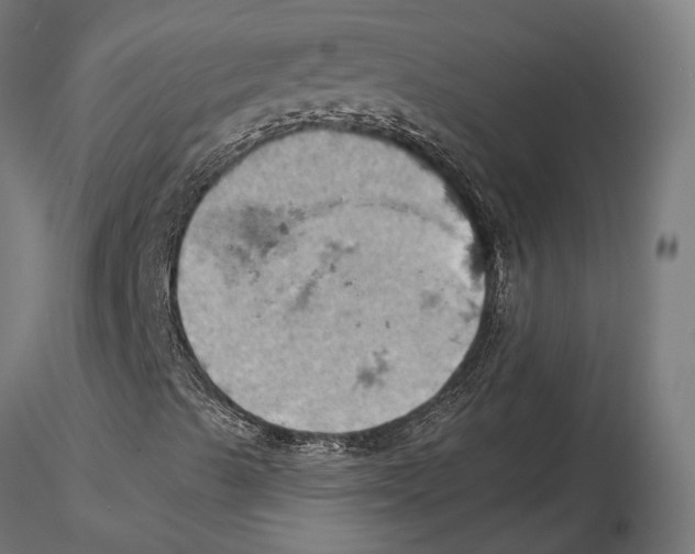 X0000115591489200912081036