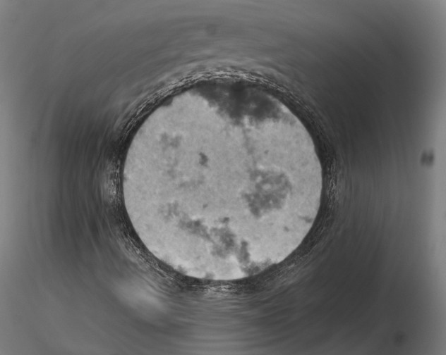X0000115591490200912081037