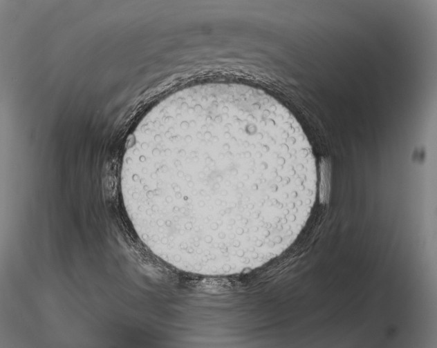 X0000115591491200912081037