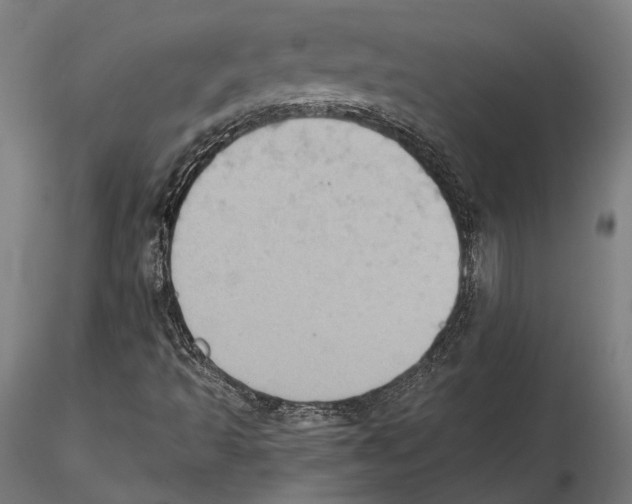 X0000115591493200912081037