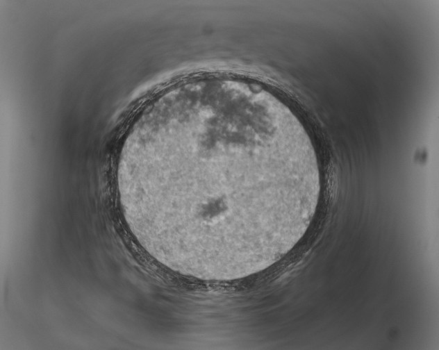 X0000115591494200912081037