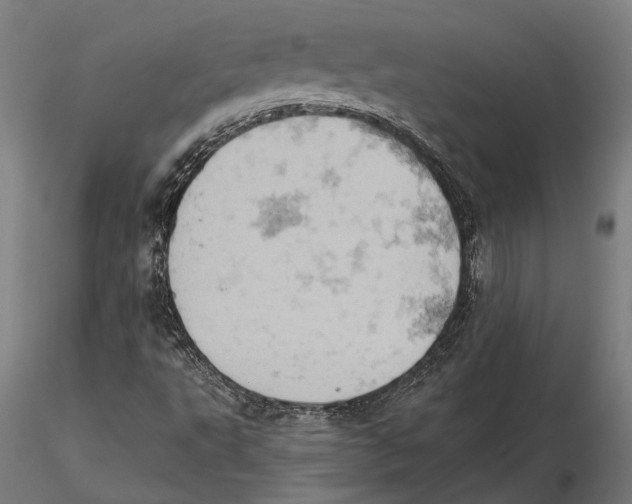 X0000115591495200912081037