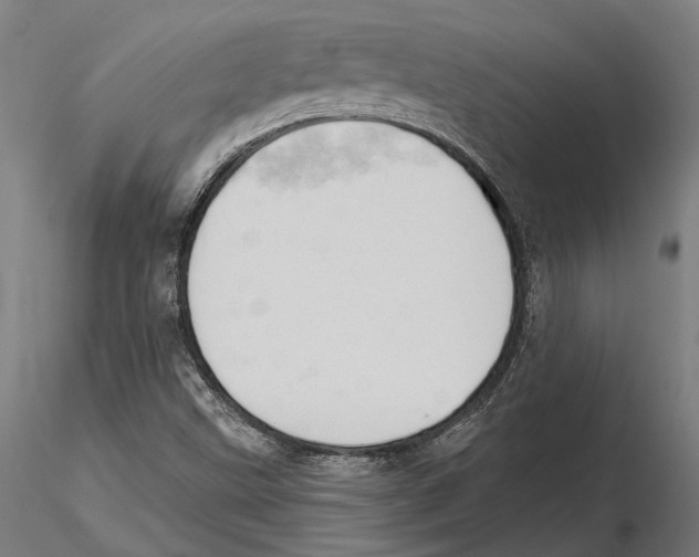 X0000115591499200912081037