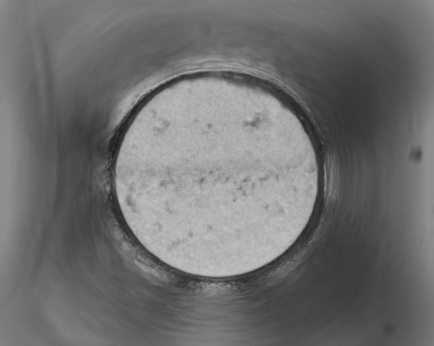 X0000115591501200912081037